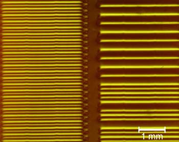 Magnetooptisches Bild des Magnetstreifens einer EC-Karte